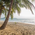 Ocean Front Panamá: descubre tu nuevo hogar frente al mar en Panamá Oeste
